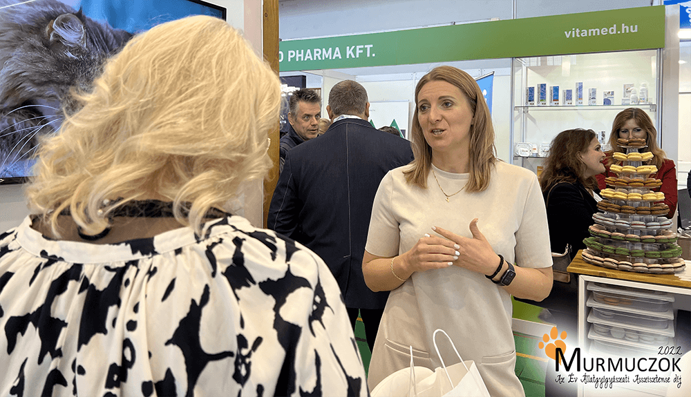 asszisztens-dij-2022-11