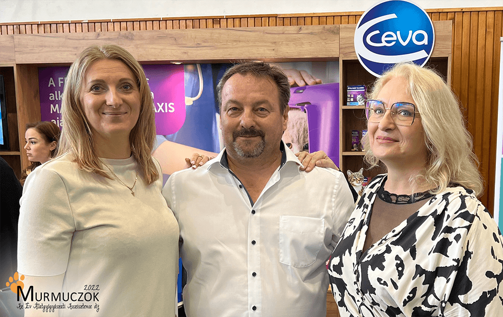 asszisztens-dij-2022-2