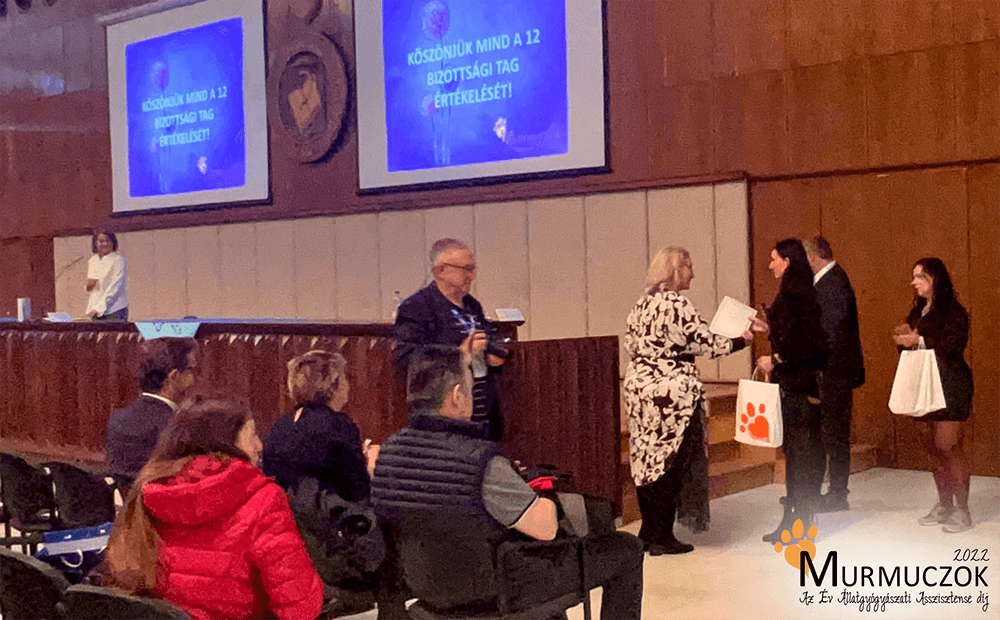 asszisztens-dij-2022-3