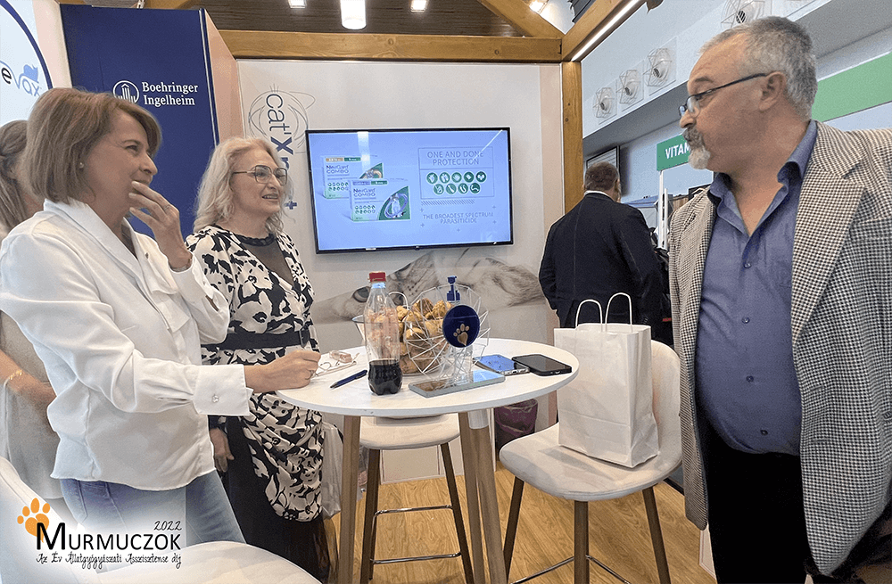 asszisztens-dij-2022-8