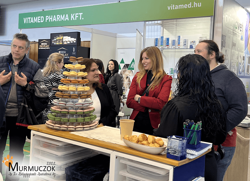 asszisztens-dij-2022-9