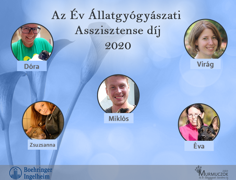 az-ev-allatgyogyaszati-asszisztense-dija-20