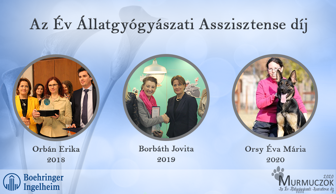 az-ev-allatgyogyaszati-asszisztense-dija0