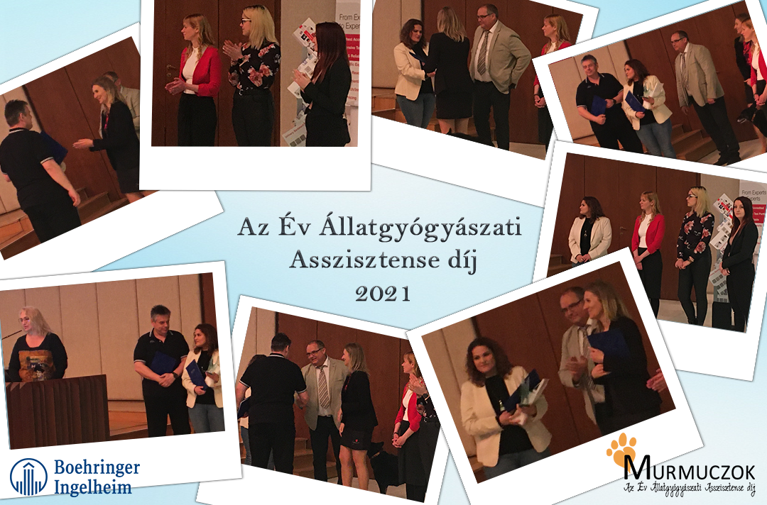 dijatadas-montazs-2021