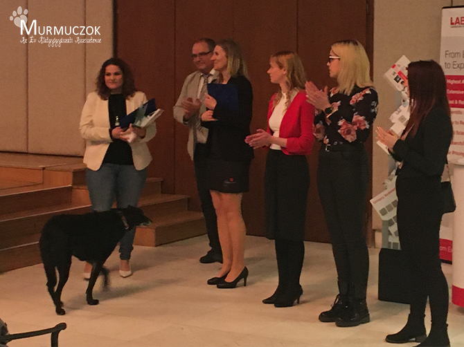 dijatado-2021-szerk-6